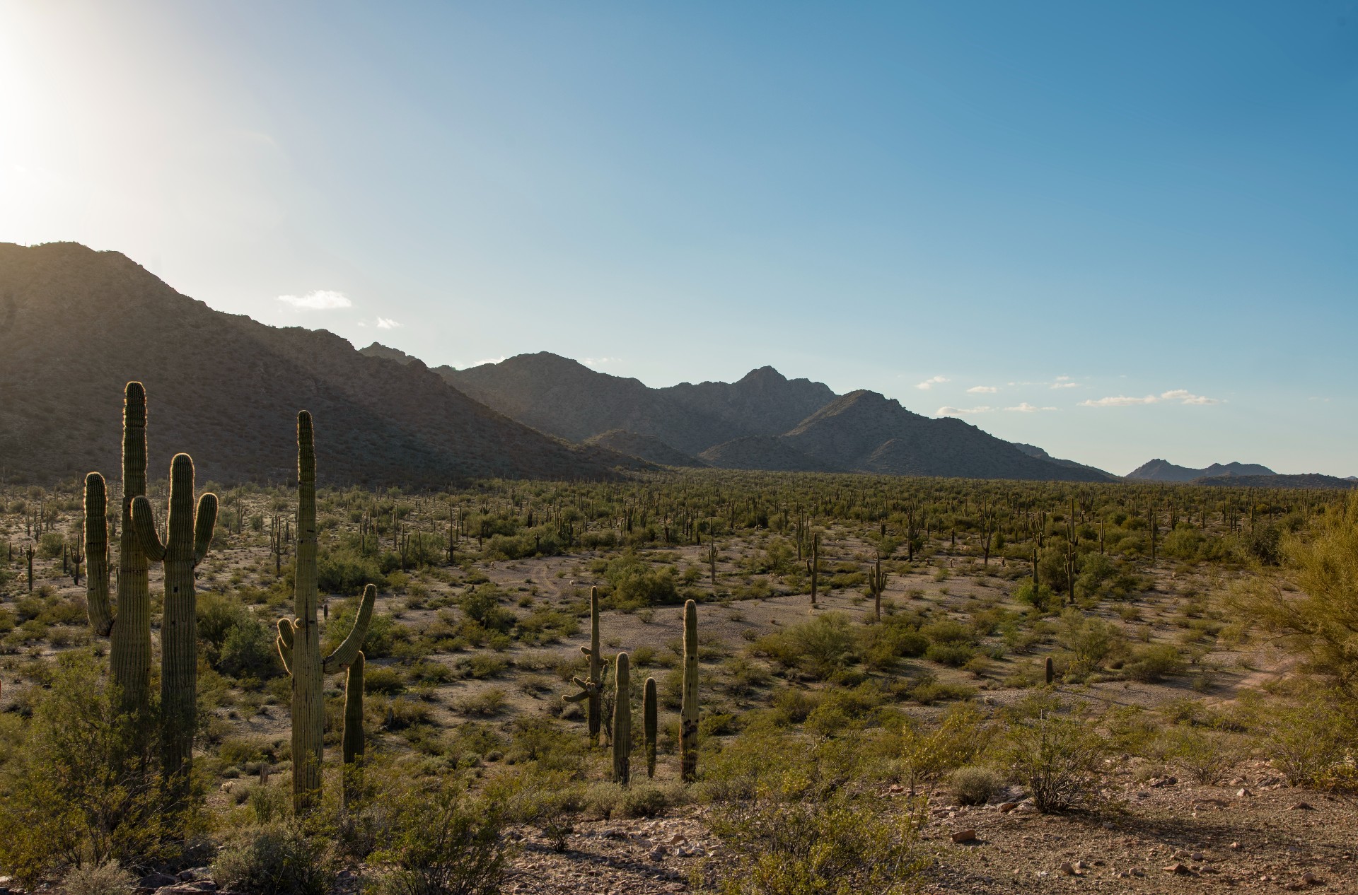 Arizona mountains