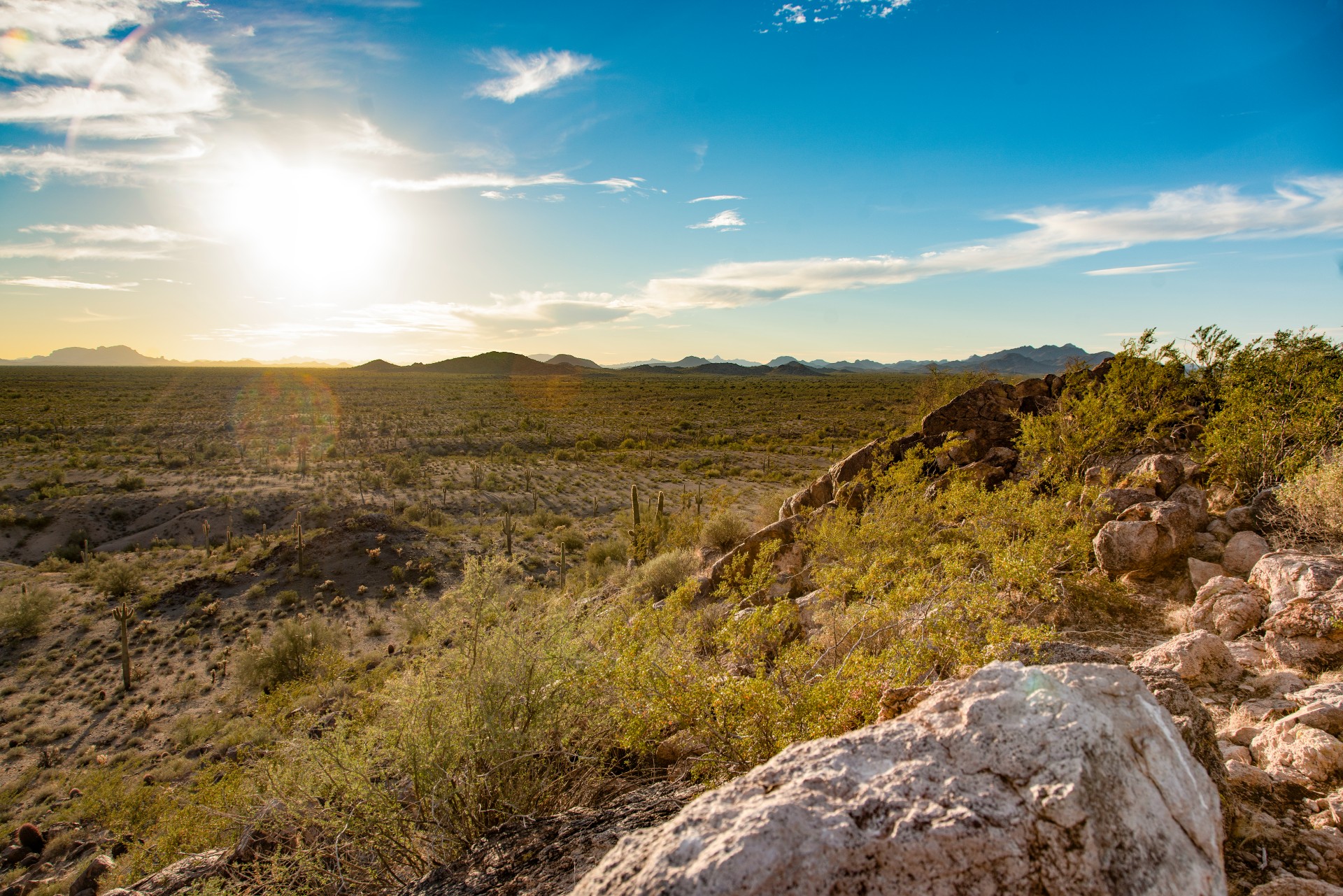 Arizona sunrise