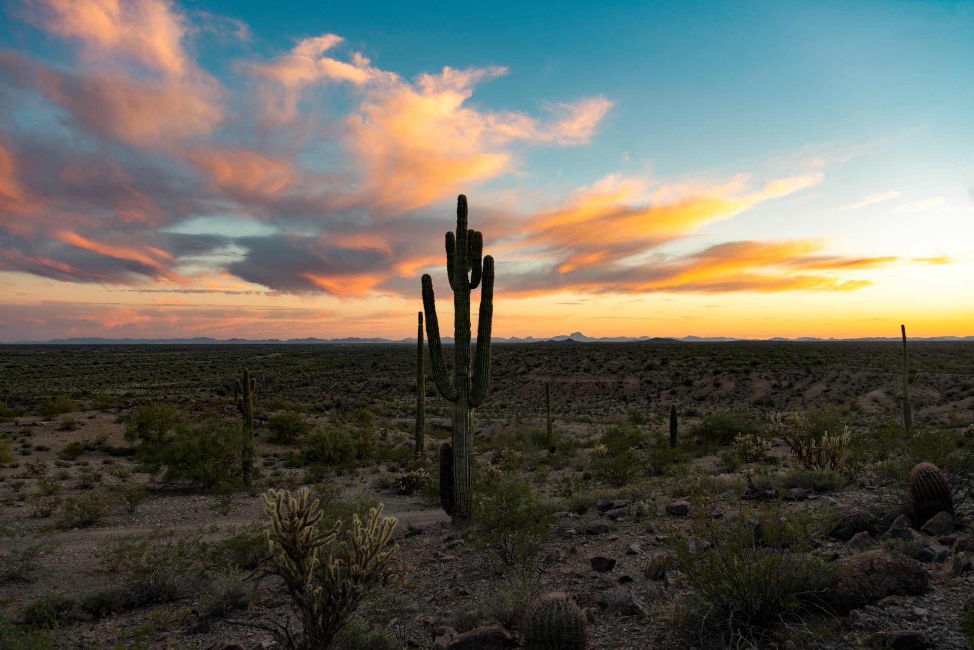 Arizona scenery