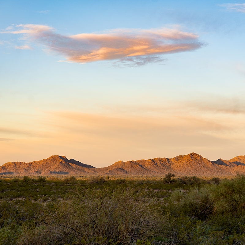 Arizona sunset