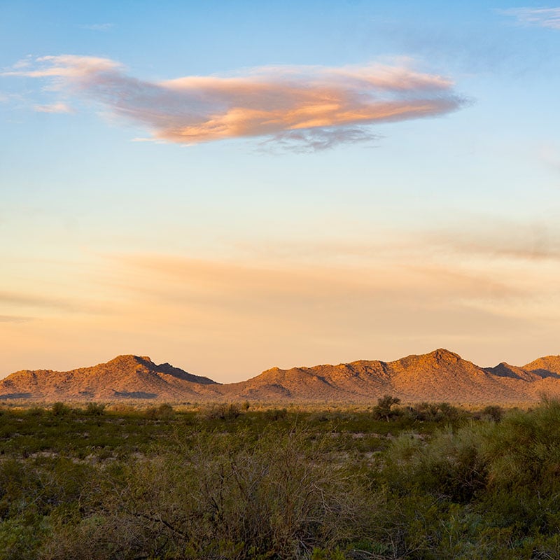 Arizona sunset