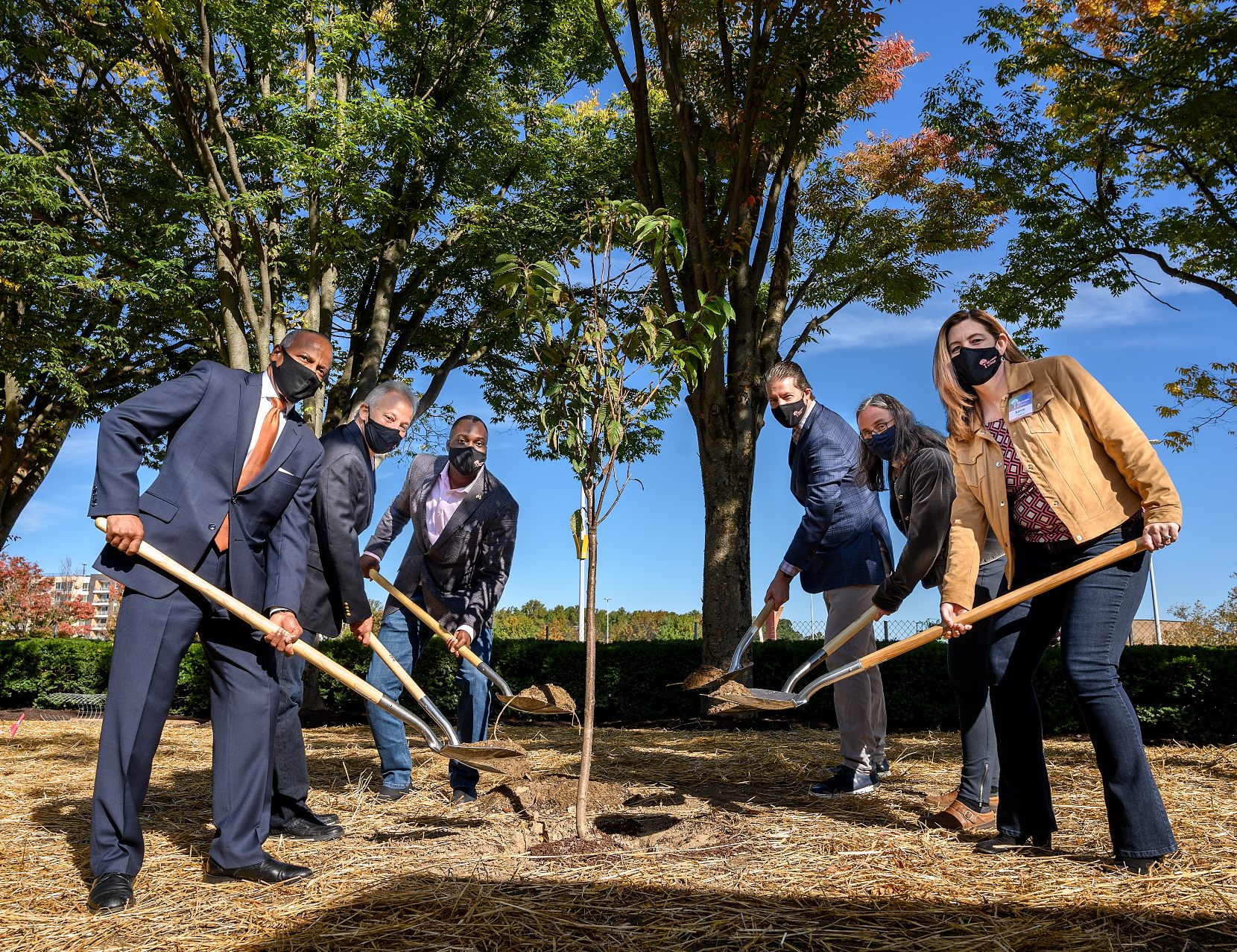 Planting trees