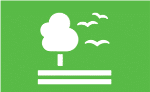 A green square with a tree and birds on it, representing the harmonious coexistence of nature and communities.
