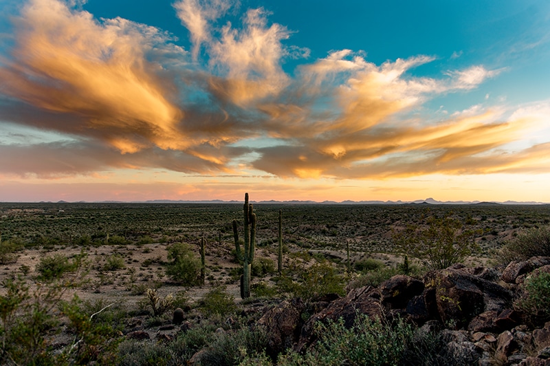 Teravalis desert